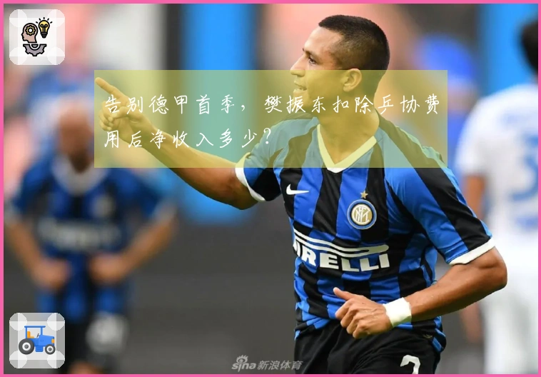 告别德甲首季，樊振东扣除乒协费用后净收入多少？