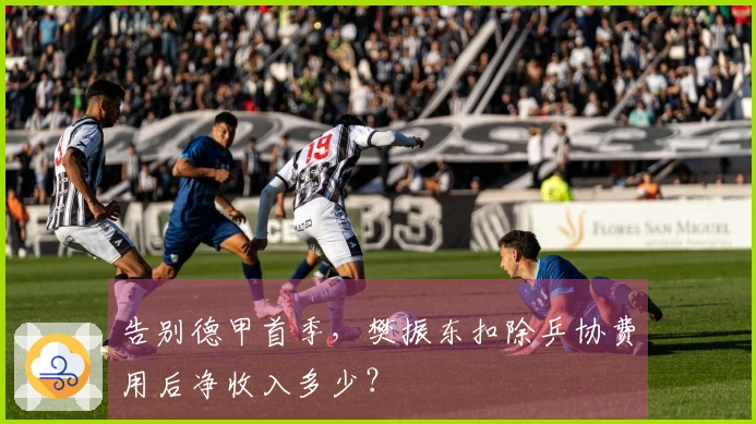 告别德甲首季，樊振东扣除乒协费用后净收入多少？