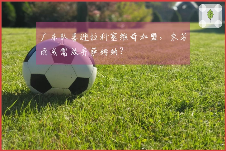 广东队喜迎拉科塞维奇加盟，朱芳雨或需放弃萨姆纳？