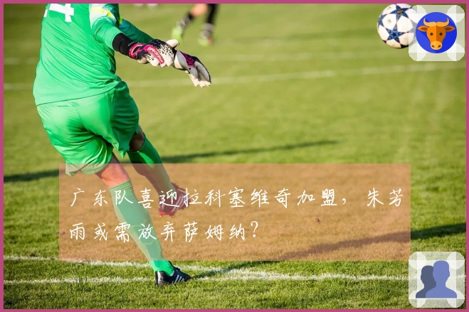 广东队喜迎拉科塞维奇加盟，朱芳雨或需放弃萨姆纳？
